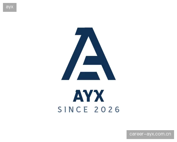 介绍ayx集团